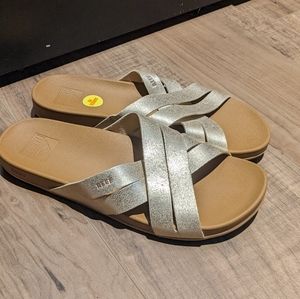 Reef Spring Bloom in Champagne